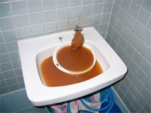 水道管洗浄