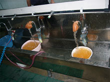 水道管洗浄
